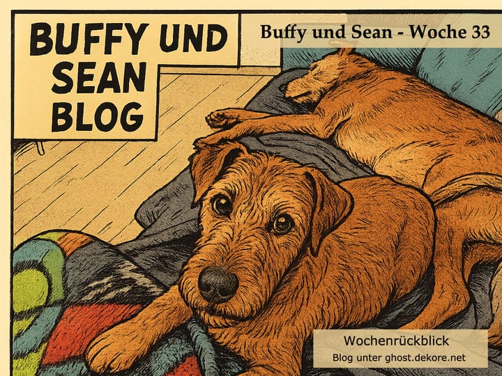 Woche 33: Video der Woche 🎥