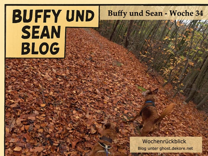 Woche 34: Video der Woche 🎥