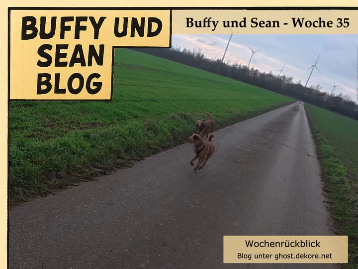 Woche 35: Video der Woche 🎥