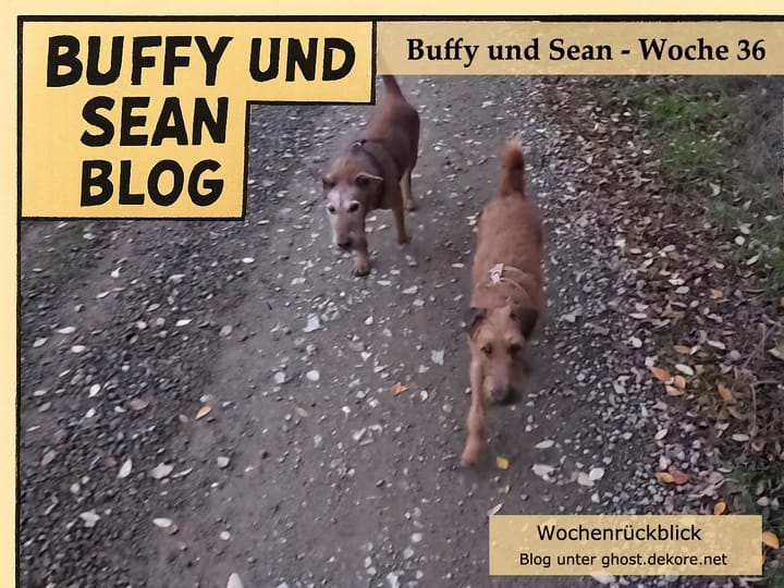 Woche 36: Video der Woche 🎥
