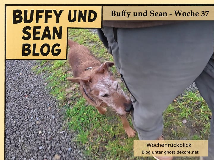 Woche 37: Video der Woche 🎥
