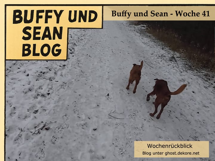 Woche 41: Video der Woche - Schneetage 🎥❄️