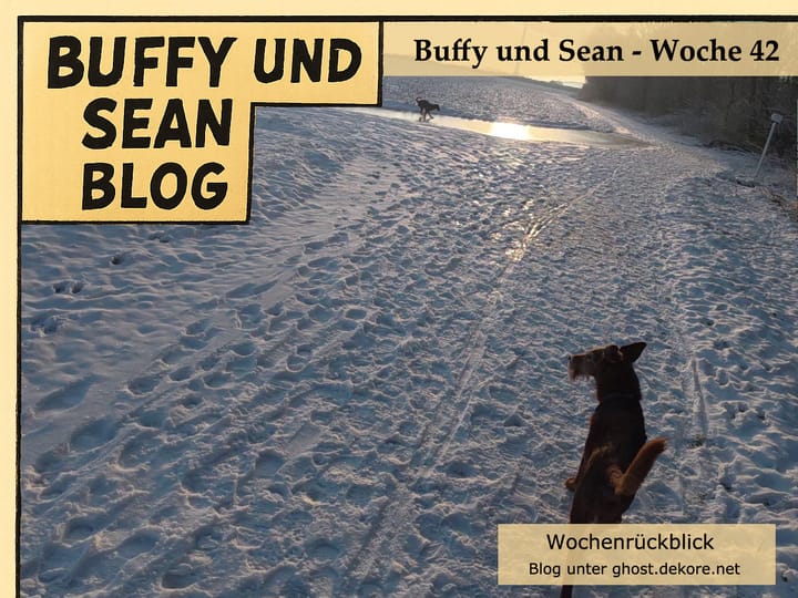 Woche 42: Video der Woche -  im Schnee – Parkspaziergang und eine Rutschpartie im Feld 🎥❄️