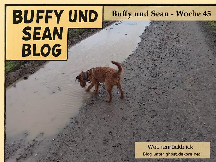 Woche 45: Video der Woche – Schmuddelwetter? Buffy und Sean interessiert das nicht. 🎥