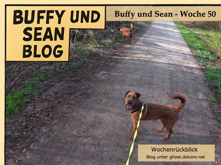 Woche 50: Video der Woche - Hitze-Plan: Park, kurzer Wald-Rettungsweg“ und Feld nur in Kurzversion 🎥