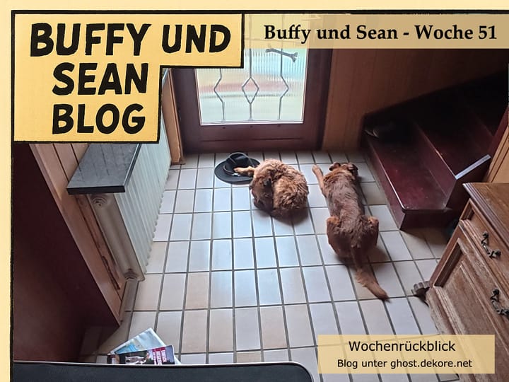 Woche 51: Video der Woche – Feldrunde und dann: alleine bleiben (im Zeitraffer) 🎥